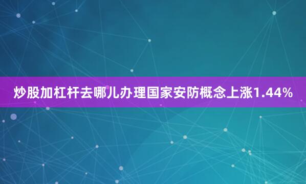 炒股加杠杆去哪儿办理国家安防概念上涨1.44%