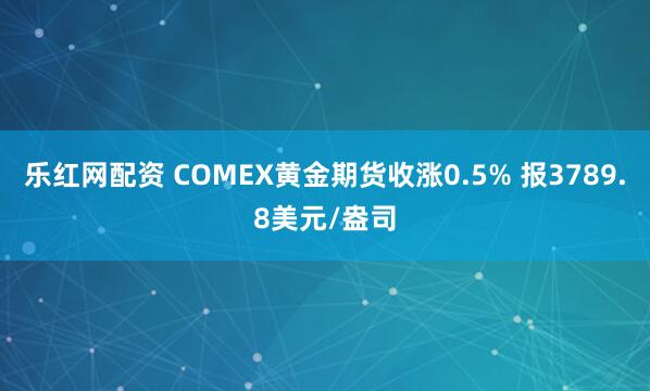 乐红网配资 COMEX黄金期货收涨0.5% 报3789.8美元/盎司
