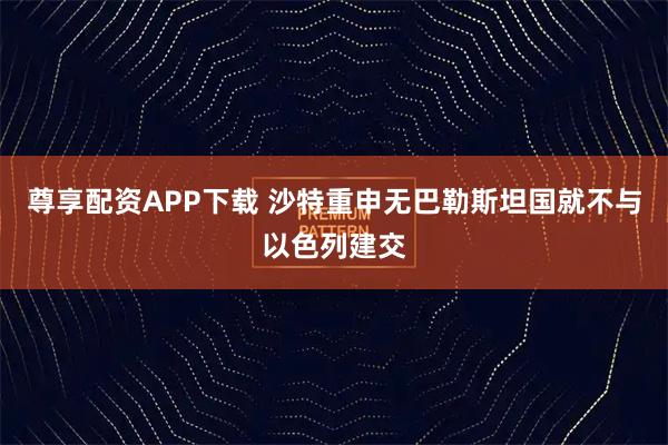 尊享配资APP下载 沙特重申无巴勒斯坦国就不与以色列建交